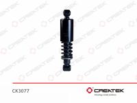 CK3077__1.jpg