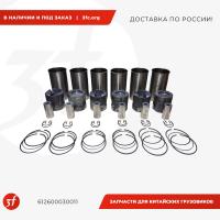 612600030011_Поршневая группа ЕВРО-2, WD615.46 371 л.с._1.jpg