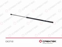 CK3710__1.jpg