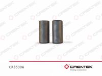 CK8530A__1.jpg